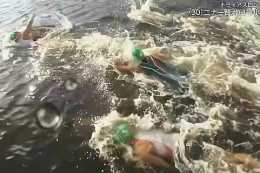 “糞水”中游泳？東京奧運會事件引發對水質的思考……