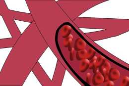 血栓堵塞血管，身體有哪些徵兆？每天一個小動作，或輕鬆瓦解血栓