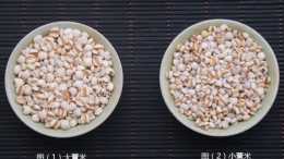 紅豆薏仁米、大薏米好還是小薏米好？看完文章你就知道了