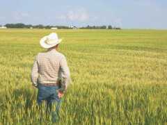 一個農民養活300人，年產值600億澳元，澳大利亞農業多發達？