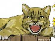 古代野獸“彪”到底是何物視老虎為死敵，亞洲金貓最像它！