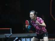 衛冕冠軍成頭號種子！華裔老將遺憾落選，前國乒世界冠軍赫然在列