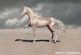 盤點世界十大名馬，它是世界上最昂貴的馬，汗血寶馬不在前5名