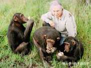 人和黑猩猩後代實驗5名女性參與試驗後，為什麼不敢再嘗試了