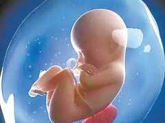 孕中期三維、四維B超，都能查什麼？排除胎兒畸形必做！