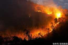 即日起到2022年底，湖南採取這些斷然措施防範遏制森林火災