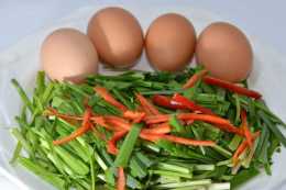 怎樣才能做出脆嫩爽口的韭菜炒雞蛋？