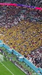 趣看世界盃|厄瓜多球迷現場高呼“我們要啤酒”面臨處罰