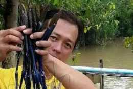 珠江釣起巨蝦，湄公河“禍害”來了，網友：快保護好它！