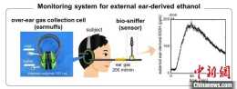 國際最新研究：專用耳套可透過面板測量血液酒精含量