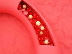 納豆紅曲膠囊的功效和作用是什麼？對血脂血栓有用嗎