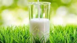 關於 “牛奶” 你所需要知道的一切！