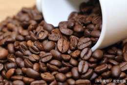 我們最愛的咖啡，你知道它的起源與發展歷程嗎？