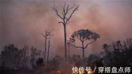 亞馬遜雨林火災不斷，極端天氣接踵而來，環境保護是否能被重視？