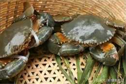 吃螃蟹的季節到啦！一道“姜蔥炒青蟹”的家庭做法分享給大家