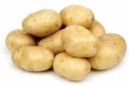 土豆怎麼處理？！發芽的土豆能不能吃？！