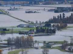緊急！國際大港被迫關閉！加拿大多地遭暴雨侵襲！