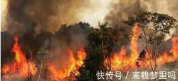 亞馬孫雨林大火已經燒了半個月，會對地球環境造成怎樣的影響？