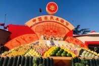 “慶豐收 感黨恩”湖北·羅田2021年中國農民豐收節即將精彩呈現 豐富趣味活動等你來！