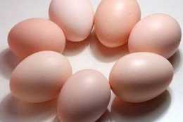 煮雞蛋的時候加點它，雞蛋更嫩還會自動脫殼