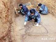 成都廣場地下曾挖出“千年神獸”，專家早發現了但當時沒挖