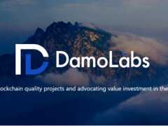 Damo Labs的價值投資路——在“瘋狂”中冷靜