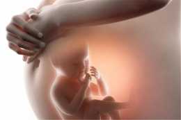 想讓寶寶贏在“子宮”裡，懷孕期間，準媽媽要做好四件事