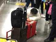 是親媽嗎！上海一女子將5歲女孩塞進行李箱趕火車：嫌女兒吵鬧