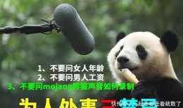 我的世界MC熊貓的聲音取材於現實，那“死亡”音效怎麼得到的