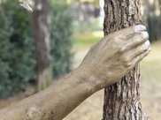 單隻手緊握著這顆樹49年，從未松過手，成為了世界上最孤獨的手