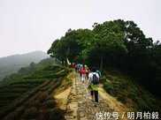 杭州這條10多年曆史的登山線路，最精華的是這9公里！現在還有一個“網紅路牌”……