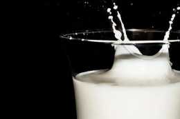 顛覆傳統，突破創新，IFF T2N 開啟牛奶香精“鮮”時代！