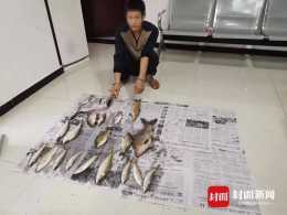 男子捕獲1條巖原鯉 重慶水警：屬於國家二級保護動物 嚴懲不貸