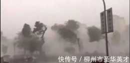 柳州遭遇十級大風肆虐，遇到颱風不要慌！這份颱風防範指南收好