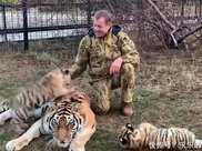 飼養員怕老虎孤單，送了只白老虎進去後，場面頓時尷尬了