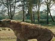 神農架發現兇殘不明生物，驢頭狼身，專家：是史前猛獸