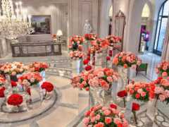 世界上最美麗的花卉酒店排行榜