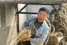 52歲邵峰片場體驗農村生活，打扮樸素挎竹籃穿布鞋，手抱稻草不嫌髒
