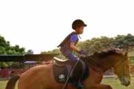 馬術 | 馬不停蹄，華東大型跑馬場，提升優雅氣質，強健體魄，鍛鍊自我！