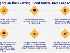 報告：企業版 Java 正在復興，Jakarta EE 使用率達 47%