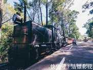 這處蒸汽小火車已有百年，司機全是老爺爺250元只能坐10公里