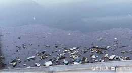 暴雨給泰安黃前水庫帶來大量垃圾，水利局連續清理月餘
