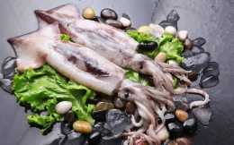 魷魚家常菜食譜：色香味俱全，看著就流口水，你真的不試試嗎？