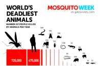 讓蚊子自投羅網的神器，一週狂銷30萬件，安全無毒，比蚊香、驅蚊液好用10000倍