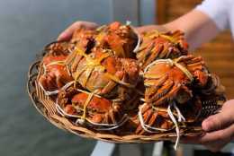秋季吃螃蟹，你蒸（真）的對了嗎？多做這幾步，蟹肉甜嫩還不流黃