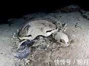 “人文初祖”黃帝陵墓被髮掘，手中握著兩隻烏龜，為何埋葬在東北